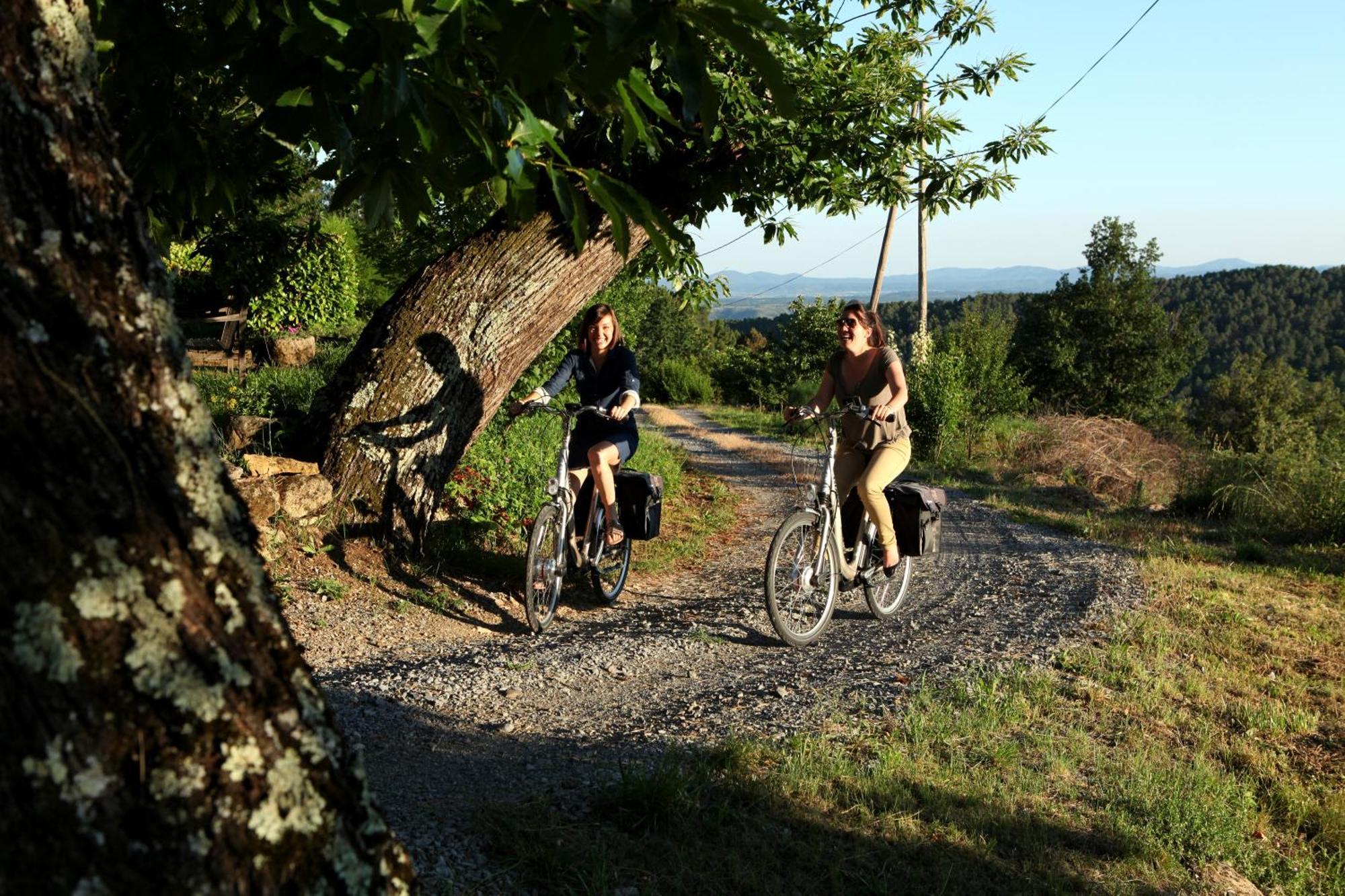 Auberge De La Tour De Brison Sanilhac エクステリア 写真